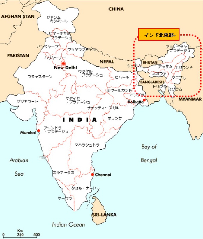 インド北東部のデモ