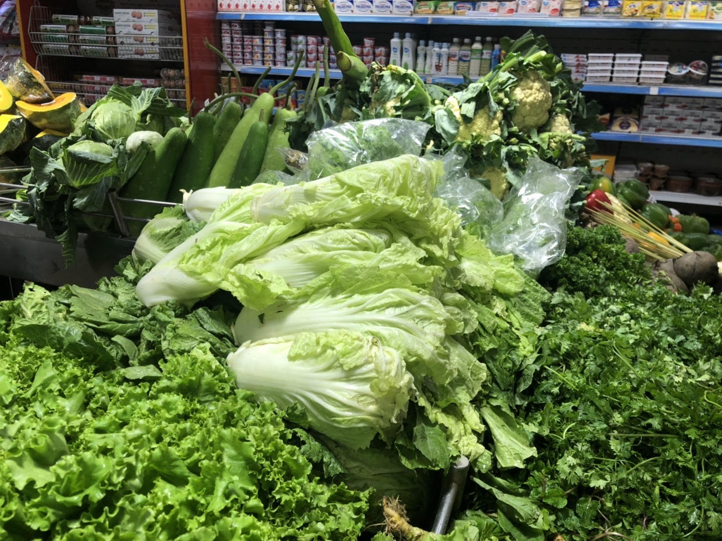 「大きめの白菜が店頭に並び始める」Agora@ダッカ市グルシャン