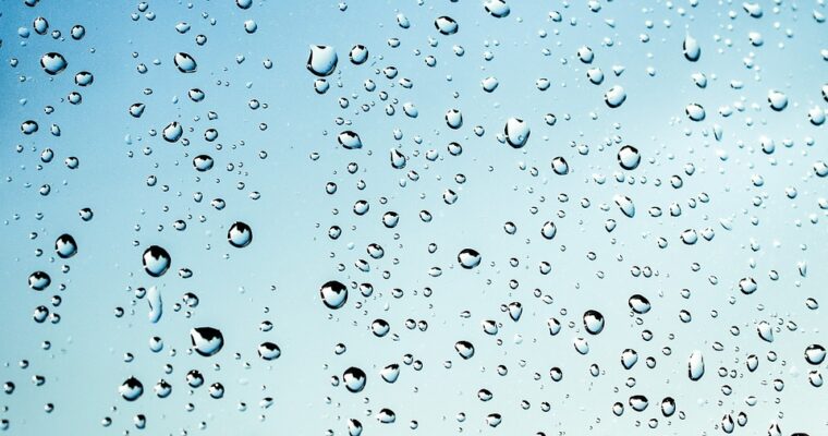 季節の変わり目？２月２４日夜に待望の雨