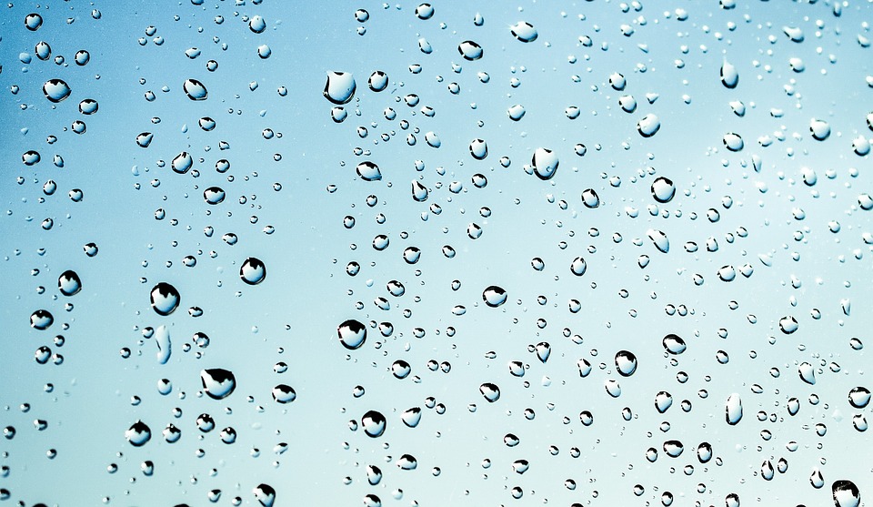 季節の変わり目？２月２４日夜に待望の雨